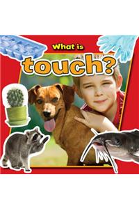 What is Touch?