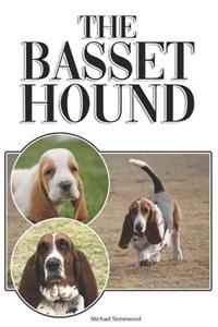 Basset Hound