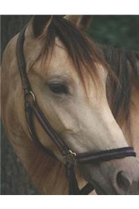 Horseback Rider College Ruled Composition Notebook