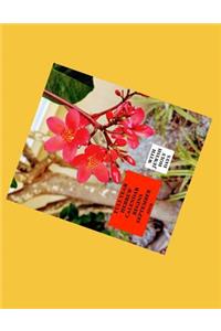 Full Year Hebrew Calendar Begins September 2019