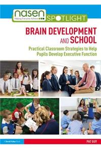 Brain Development and School