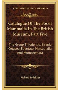 Catalogue of the Fossil Mammalia in the British Museum, Part Five