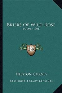 Briers Of Wild Rose