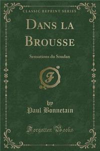 Dans la Brousse: Sensations du Soudan (Classic Reprint)