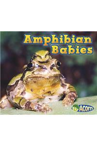 Amphibian Babies