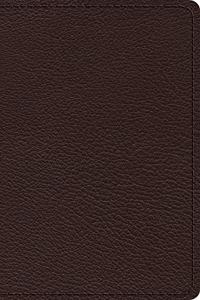 ESV Premium Thinline Bible (Goatskin, Brown)