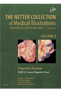 Netter Collection of Medical Illustrations: Digestive System: Part II - Lower Digestive Tract