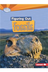 Figuring Out Fossils