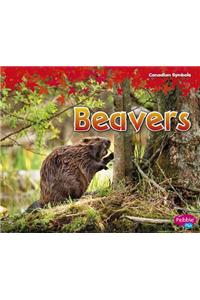 Beavers