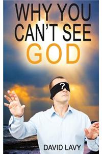 Why You Can't See God