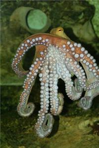 Octopus (Cephalopod Mollusc) in the Ocean Journal