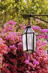 Lamppost and Pink Flowers Spring in Europe Travel Journal