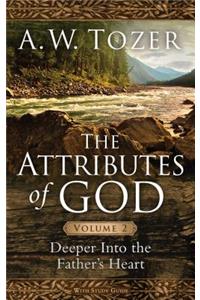 Attributes Of God Volume 2, The