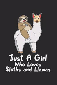 Faultier reitet auf Lama Notizbuch