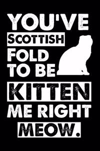 You've Scottish Fold To Be Kitten Me Right Meow