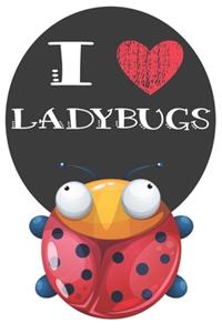 I Heart Ladybugs