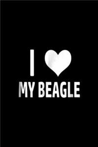I my beagle
