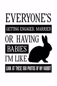 Everyone's Getting Engaged Married or Having Babies. I'm Like Look at These 500 Photos of My Rabbit