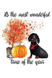 Its The Most Wonderful Time of The Year