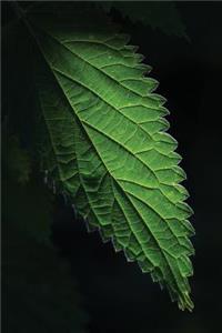 Nettle Leaf Journal