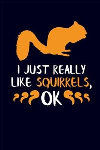 I Just Really Like Squirrels, Ok
