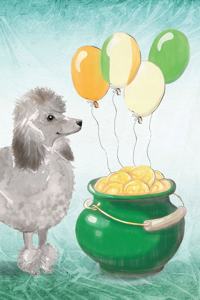 Poodle