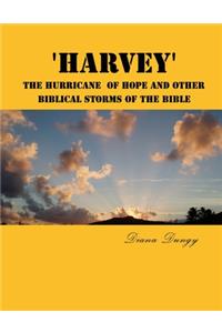 'Harvey' The Hurricane Of Hope And Other Biblical Storms Of The Bible
