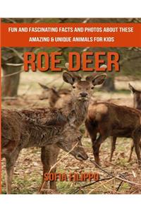 Roe deer