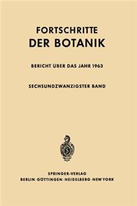 Bericht Über Das Jahr 1963