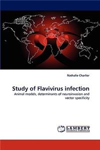 Study of Flavivirus Infection