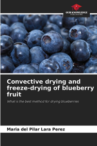 Convective drying and freeze-drying of blueberry fruit