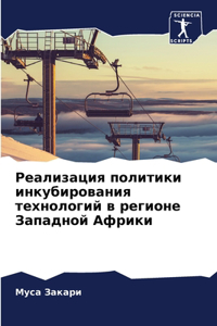 Реализация политики инкубирования техн