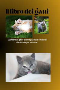 libro dei gatti