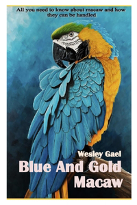 Blue and Gold Macaw