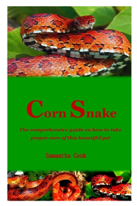 Corn Snake