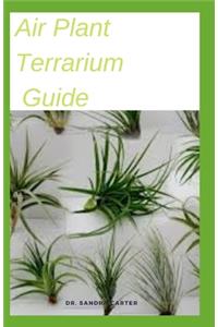Air Plant Terrarium Guide