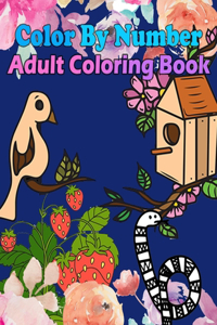 Color By Number Adult Coloring Book