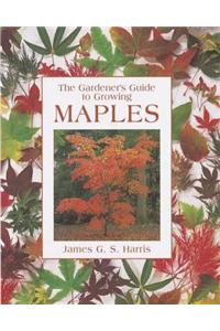 Gardener's Guide to Growing Maples