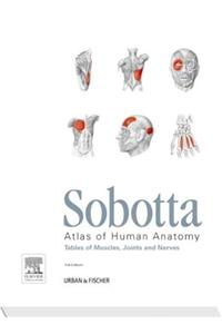 Sobotta Tables of Muscles, Joints and Nerves, English/Latin