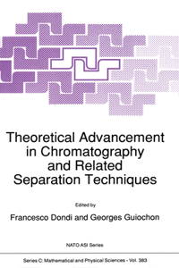 Theoretical Advancement in Chromatography and Related Separation Techniques