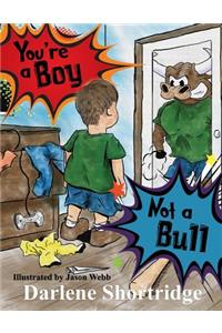 You're a Boy, Not a Bull