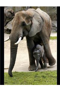 African Bush Elephant Journal