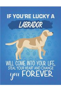 If You're Lucky A Labrador Will Come Into Your Life, Steal Your Heart And Change You Forever