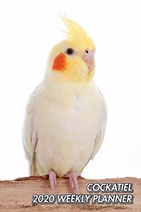 Cockatiel 2020 Weekly Planner