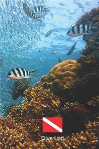 Dive Log