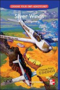 Choose Your Own Adventure: Silver Wings