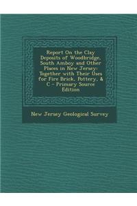 Report on the Clay Deposits of Woodbridge, South Amboy and Other Places in New Jersey: Together with Their Uses for Fire Brick, Pottery, & C