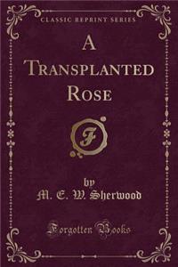 A Transplanted Rose (Classic Reprint)