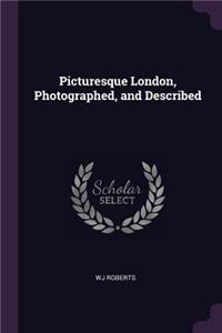 Picturesque London, Photographed, and Described