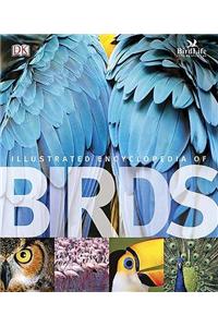 Illustrated Encyclopedia of Birds